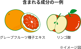 含まれる成分の一例：グレープフルーツ種子エキス・リンゴ酸
